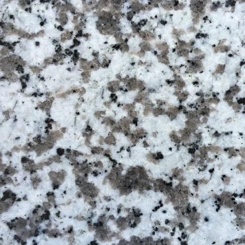 Grande fleur blanche