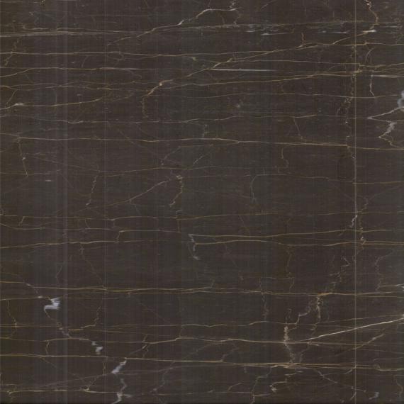 Carrelage de luxe brun doré à l'intérieur