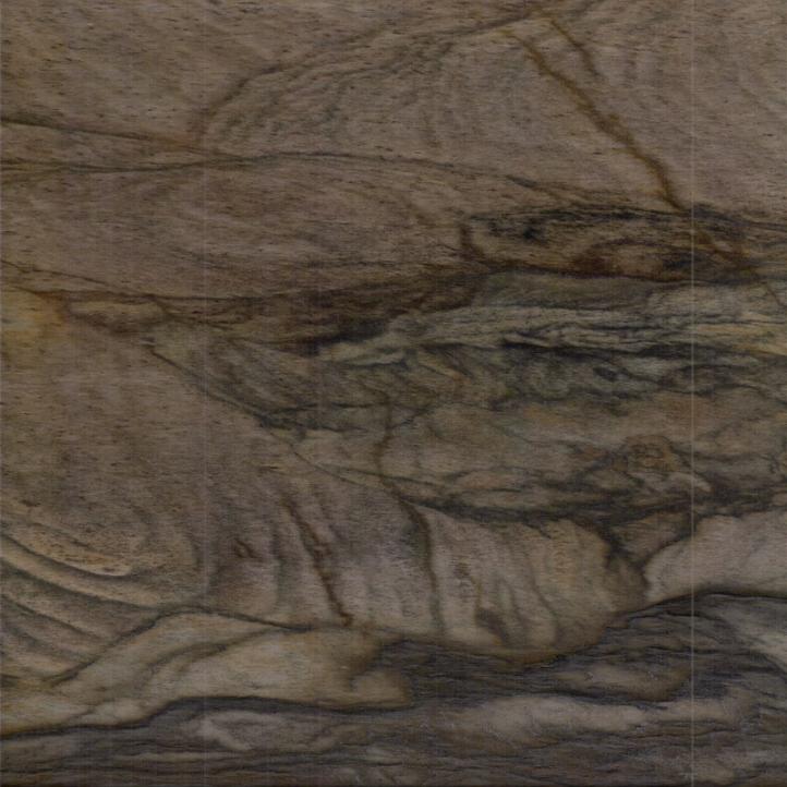 Exclusive marble flooring and luxury facing