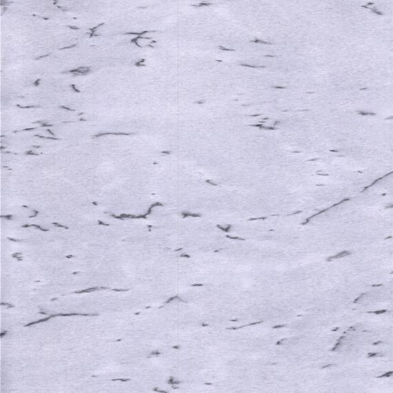 Matériau de construction en marbre blanc Statuario