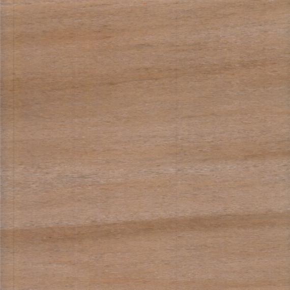 conception intérieure du seuil de la maison avec dessus de baignoire