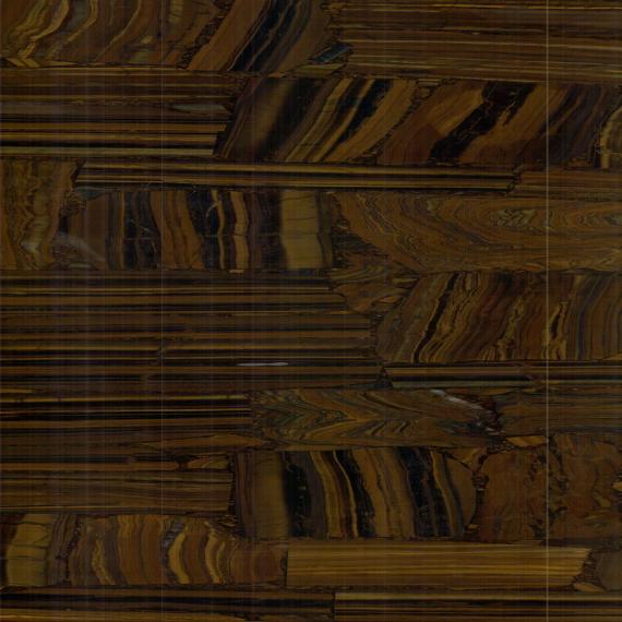 Gemme de fer du tigre