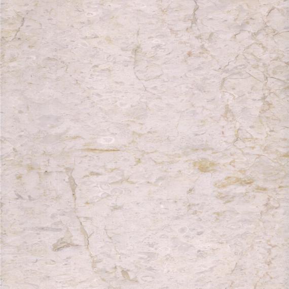 Pierre de marbre fossilifère beige pour application intérieure