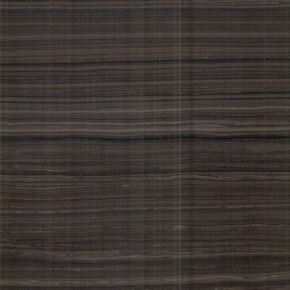 première offre exclusive incontournable