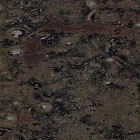 Pierre de marbre unique pour une maison de luxe