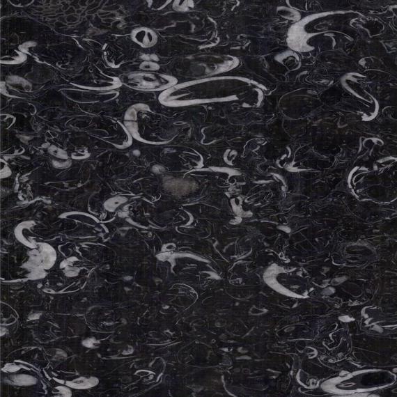 Marbre fossilifère exclusif pour bâtiments sophistiqués