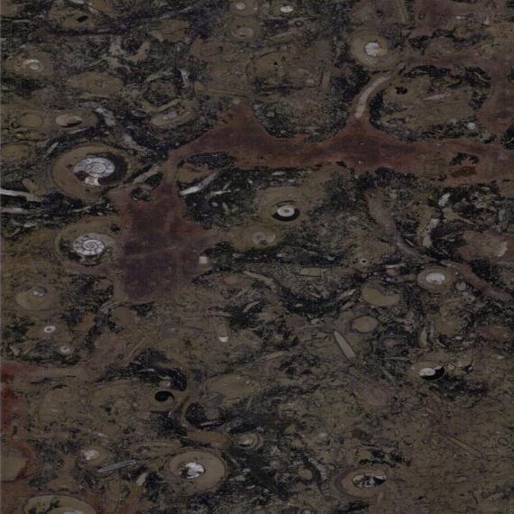 Dalle de marbre pour la décoration intérieure de l'hôtel