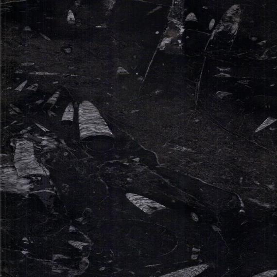 Meilleur matériau de construction pour dalles de marbre brun