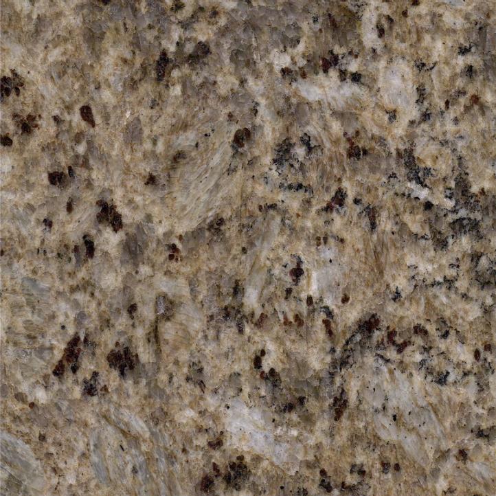 Grain d'or Tanio (1)