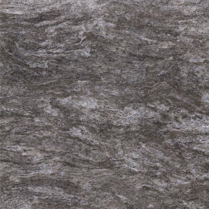 Gris argenté écossais (2)