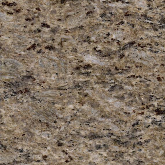 Grain d'or Tanino (2)