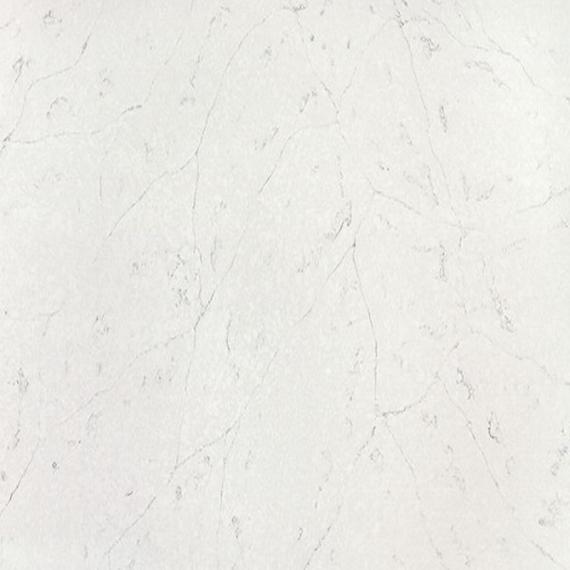 Quartz à motif et texture fossilifères