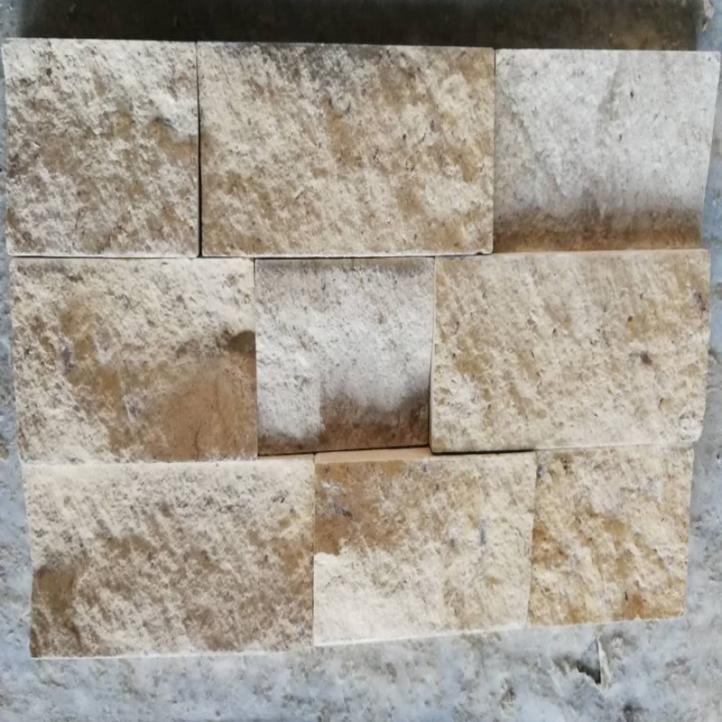 Mosaïque de la grotte (4)