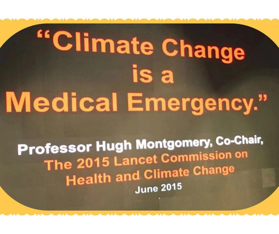 Observations d'Angela. Réalité climatique : concevoir pour un climat et une agriculture en évolution – intégrer l'agriculture urbaine – conception architecturale moderne